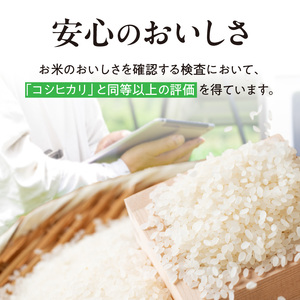 【令和8年度産】 先行予約 近江米『きらみずき』　化学肥料不使用米　5キロ×6回定期便（鮮度保持袋）