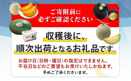 小玉スイカセット 夏の日 緑 赤 黄 北海道 小玉スイカ【2〜2.5kg 2玉】