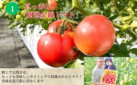 樹上完熟トマトジュース 『大農 』1L２本×12回 年間定期便