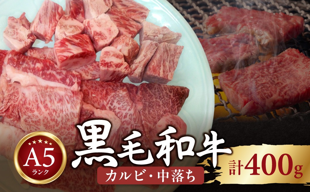 
                  黒毛和牛A5　カルビ中落セット　400ｇ MBAV003
                