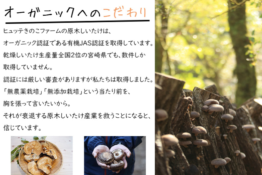 宮崎県産 乾燥 椎茸 40g×1袋 チャック袋入 [ HUTTE 宮崎県 美郷町 31ao0011] 干ししいたけ 出汁 オーガニック 原木栽培 有機JAS認証 料理 調理 小分け 常温 渡川 アヒー