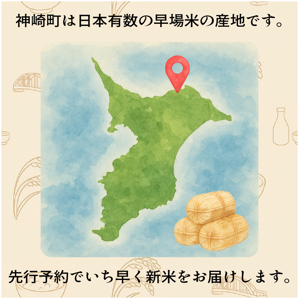 《先行予約・令和7年産新米》千葉県神崎町産ふさこがね5kg×2袋｜早場米産地の新米を食卓へ｜9月以降順次発送予定｜数量限定 [025-a003]【千葉県 神崎町 ふるさと納税】