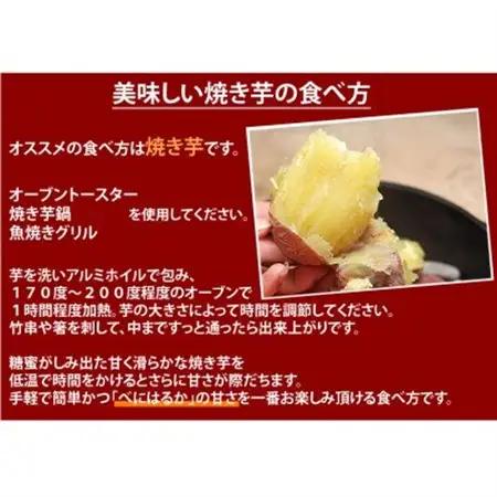 訳あり紅はるか 約10kg(益城町)【1586572】
