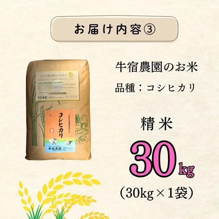 【新米予約】コシヒカリ 30㎏ 牛宿農園