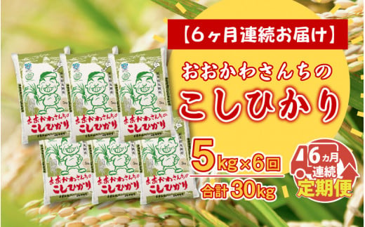 【令和6年産・新米】 【6ヶ月連続お届け定期便】おおかわさんちのコシヒカリ 5kg × 6回 [F-10801]