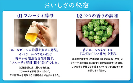 サントリー　ザ・プレミアム・モルツ〈香る〉エール 2箱セット（350ml×48本）（十一屋酒店）
