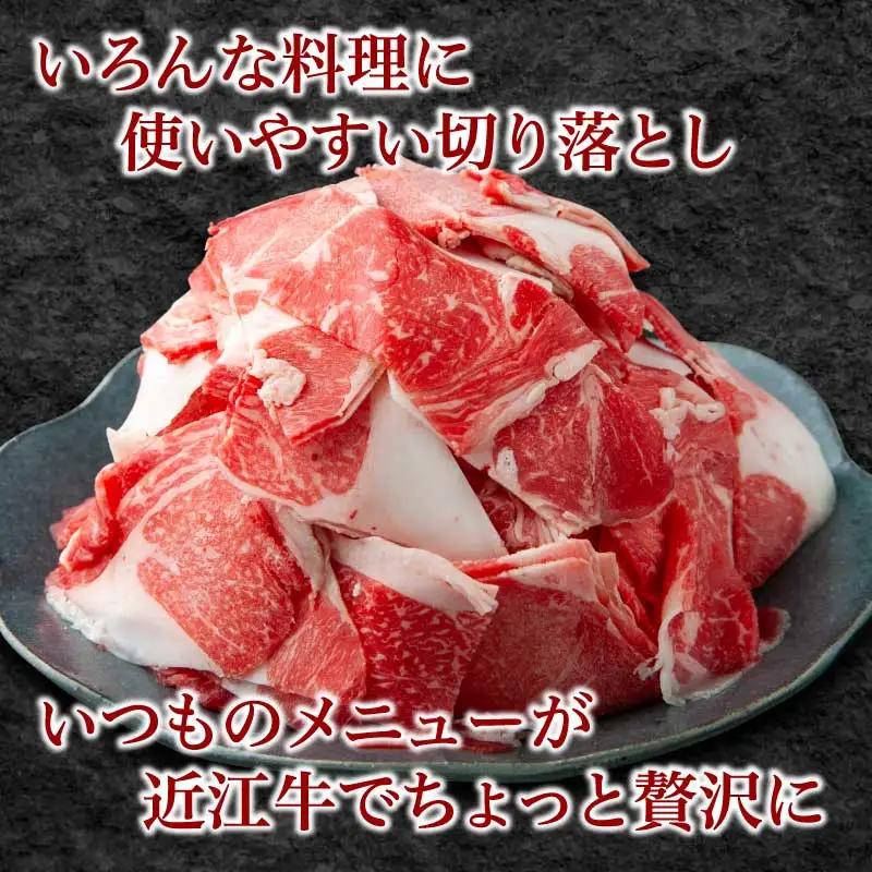 近江牛訳あり切り落とし3000g（500×6袋）EG-0010