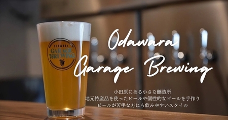 季節限定　小田原クラフトビール3種　【定期便：3カ月に1回 計4回お届け】   クラフトビール・地ビール【 ビール お酒 神奈川県 小田原市 】
