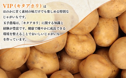 【9月～12月発送予定】（生産者直送）じゃがいもVIP（キタアカリ）5kg