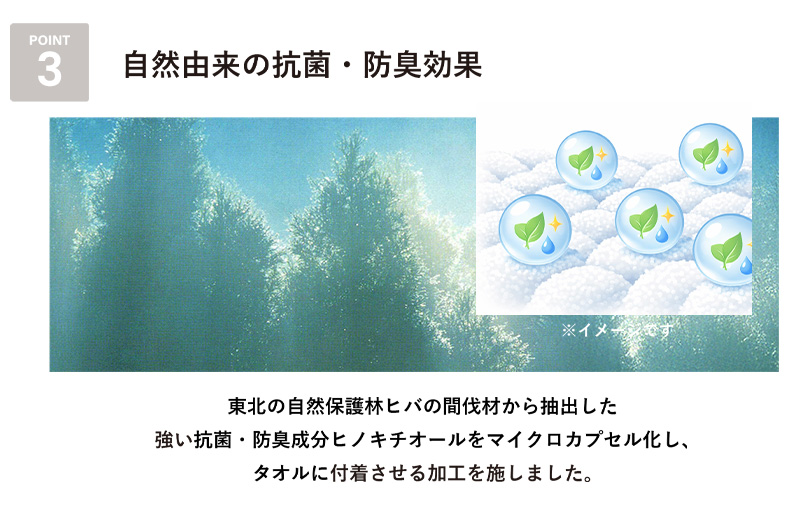 【スピード発送】まごころ手ふきん 6枚セット れもん【布巾 手布巾 蚊帳生地 泉州タオル 吸水 ふきん 速乾 普段使い シンプル 日用品 家族 たおる 大阪 泉佐野 大阪府 泉佐野市】