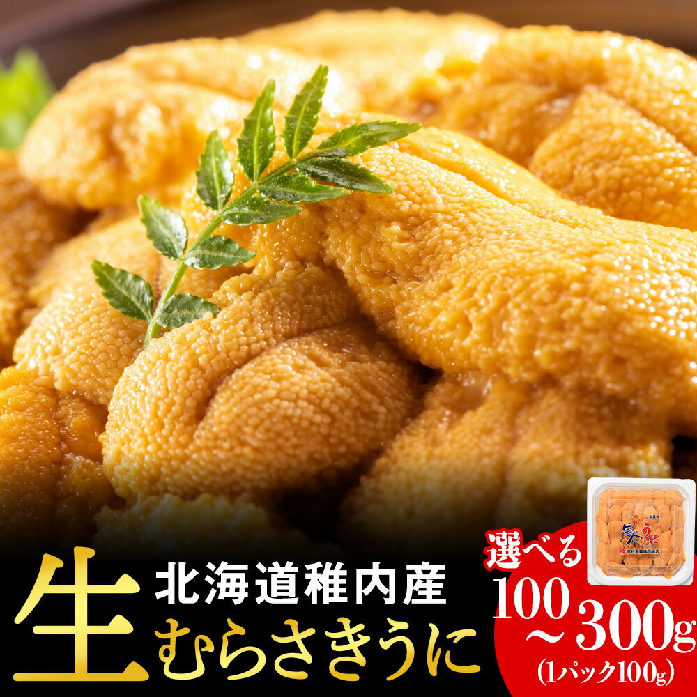 【ふるさと納税】【期間限定】稚内の厳選ムラサキウニ 生パック 選べる100g～300g 1パック100gうに ウニ 雲丹 むらさきうに ムラサキウニ 海鮮 魚介 生ウニ 小分け 北海道ふるさと納税 稚内 ふるさと納税 北海道 【配送不可地域：離島・沖縄県】