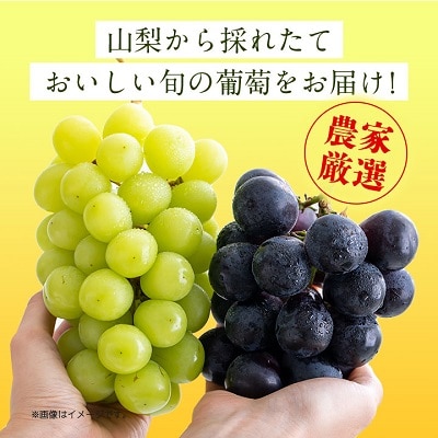 シャインマスカット 巨峰 各2房 旬の葡萄セット2kg (種なし)【配送不可地域：離島】