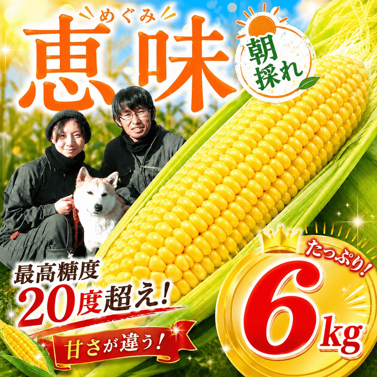 【ふるさと納税】 とうもろこし 6kg 【先行予約】【来季2027年発送分】《 最高糖度20度 》トウモロコシ 朝採れ 野菜 とうもろこし コーン スイートコーン めぐみ 恵味 夏野菜 人気 おすすめ 高評価 高糖度 糖度 新鮮 あさどれ 朝採り 数量限定 千葉県 香取市 SBF002_X1