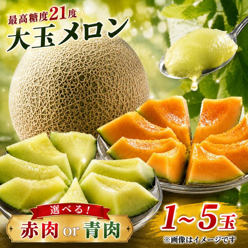【ふるさと納税】 メロン めろん 茨城 2027年発送 先行予約 果物 くだもの フルーツ 1～5玉 1.2kg～3.5kg 赤肉 青肉 1玉 2玉 3玉～5玉 クインシーメロン キスグリーンメロン 大玉 産地直送 高糖度 meron melon プレゼント ギフト 茨城県 鉾田市 片岡農園 クレストファーム