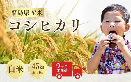 【定期便】コシヒカリ 白米 45キロ (5kg×9回) 令和8年産 | コシヒカリ サムランド
