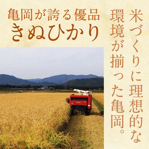 【3回定期便】【無洗米】丹波産キヌヒカリ 10kg 真空パック 無洗
