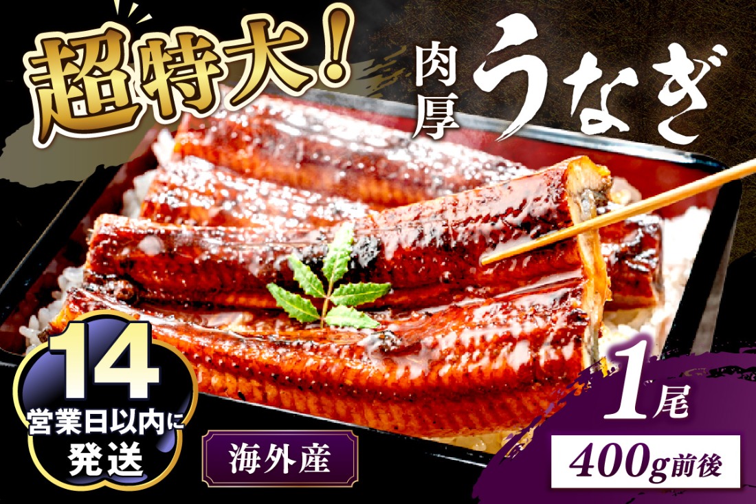 【14営業日以内発送】超特大！ふっくら肉厚！うなぎ蒲焼 1尾 400g前後 ＜鰻の蒲焼き ウナギのかば焼き 超特大かばやき 肉厚カバヤキ スタミナ 土用の丑の日 小分け 温めるだけ 簡単 レンジ調理＞　YK00402