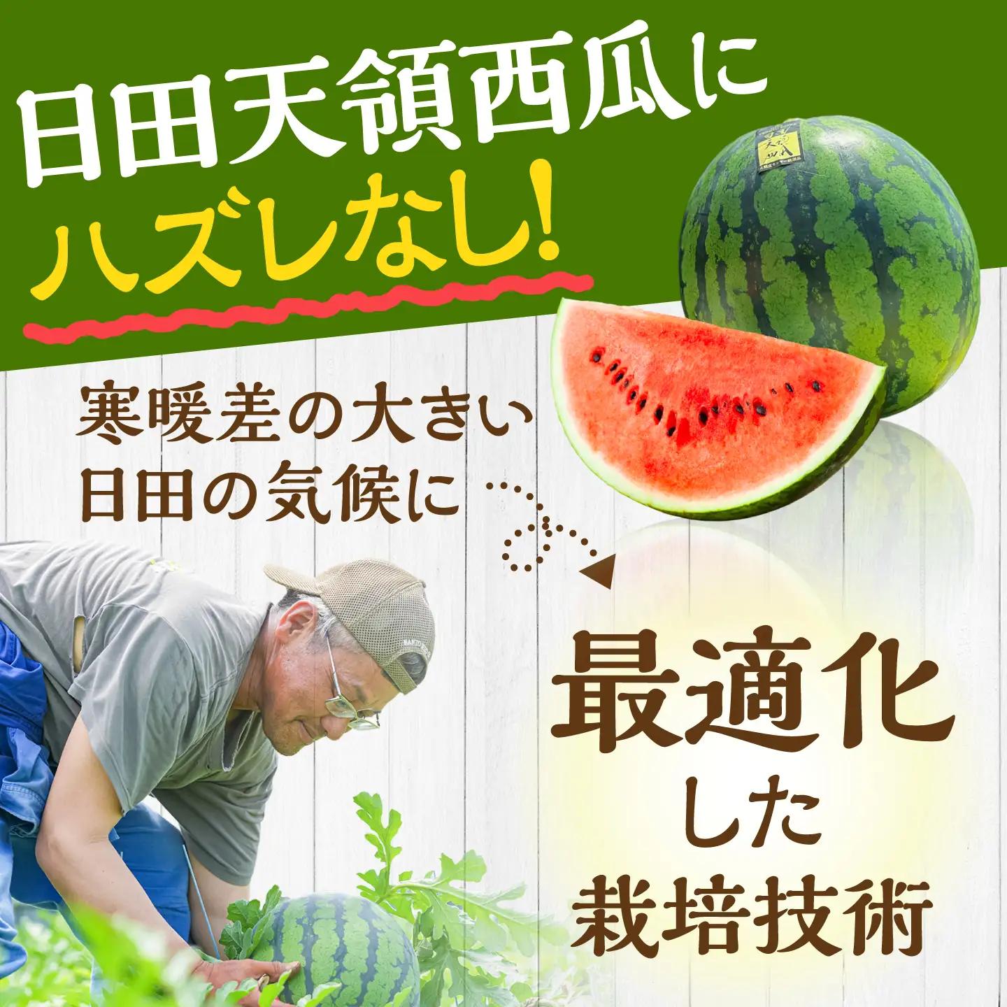 【ふるなびWEEK対象】スイカ 日田天領 西瓜 1玉 ARBD001 スイカ