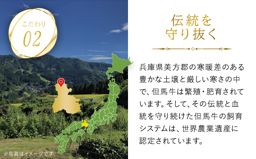 【但馬牛】特上切り落し（焼肉・うす切り）計600gセット / 神戸牛 神戸ビーフ 黒毛和牛 国産牛 ブランド和牛 切り落とし肉 切り落とし 焼肉 焼き肉 薄切り うす切り肉 牛切り落とし 兵庫県 朝来