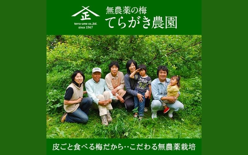 農薬を使用していない南高梅　青梅1kg、完熟梅1kg　trgk003A