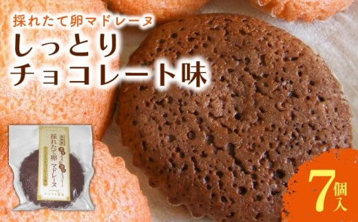 マドレーヌ しっとりチョコレート 7個入 | チョコ チョコレート 焼き菓子 お菓子 おかし 贈答用 ギフト 包装 スイーツ 人気 おすすめ たまご 卵 高知県 南国市