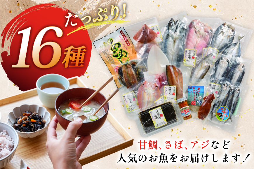 6回 定期便 魚 惣菜 平戸 干物 詰め合わせ 16種 [森崎水産 長崎県 平戸市 hr42bgy410215] さかな 加工品 ひもの つめあわせ 豪華 旬魚 お惣菜