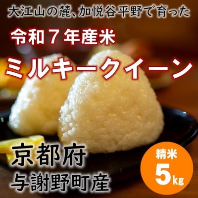 令和7年新米　大江山の麓、与謝野町で育った丹後産ミルキークイーン　精米5kg　おいしいお米を農家直送【1652508】