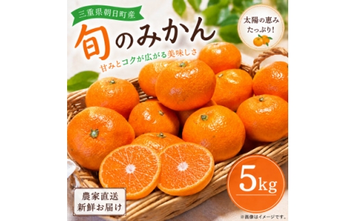 朝日町の太陽が育てた旬のみかん 約5kg　サイズ混合【2026年11月下旬より発送】【1753384】