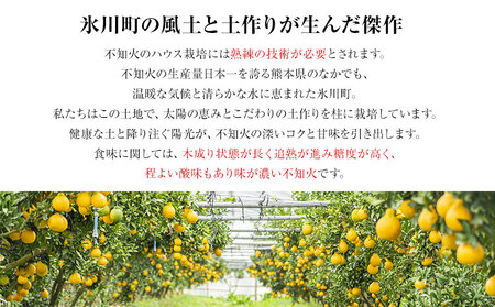 福岡農園 不知火 5kg 《1月上旬-1月末頃出荷》熊本県 氷川町 柑橘 果物 フルーツ 