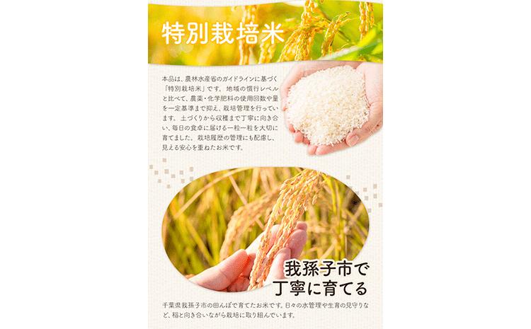 令和7年産 特別栽培米 白米 コシヒカリ 10kg(5kg×2) 米の半左エ門《30日以内に出荷予定(土日祝除く)》千葉県 我孫子市 こしひかり 精米 米 白米 ごはん お米 ライス ブランド米 ご飯