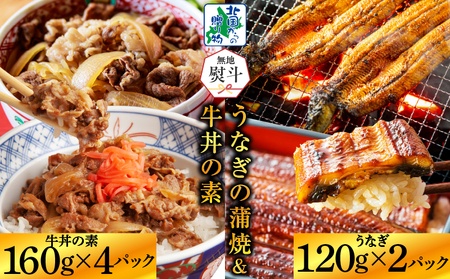 【無地熨斗】五郎藤 国産 関西風 地焼き 有頭旨鰻 120g×2尾 ＆ 黒毛和牛 牛丼の素 160g×4P【食べ比べ 人気 惣菜 北国からの贈り物 厳選 冷凍 数量限定】