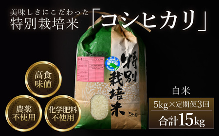 【令和7年産 新米】定期便《3ヶ月連続お届け》コシヒカリ 精米 5kg （計15kg）特別栽培米 農薬不使用 化学肥料不使用 / 高品質 鮮度抜群 福井県産 ブランド米 [aw063-e002]