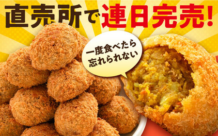 【全6回定期便】三富屋さんの本気のカレーコロッケ20個 0.8kg【三富屋商事株式会社】[AKFJ075]