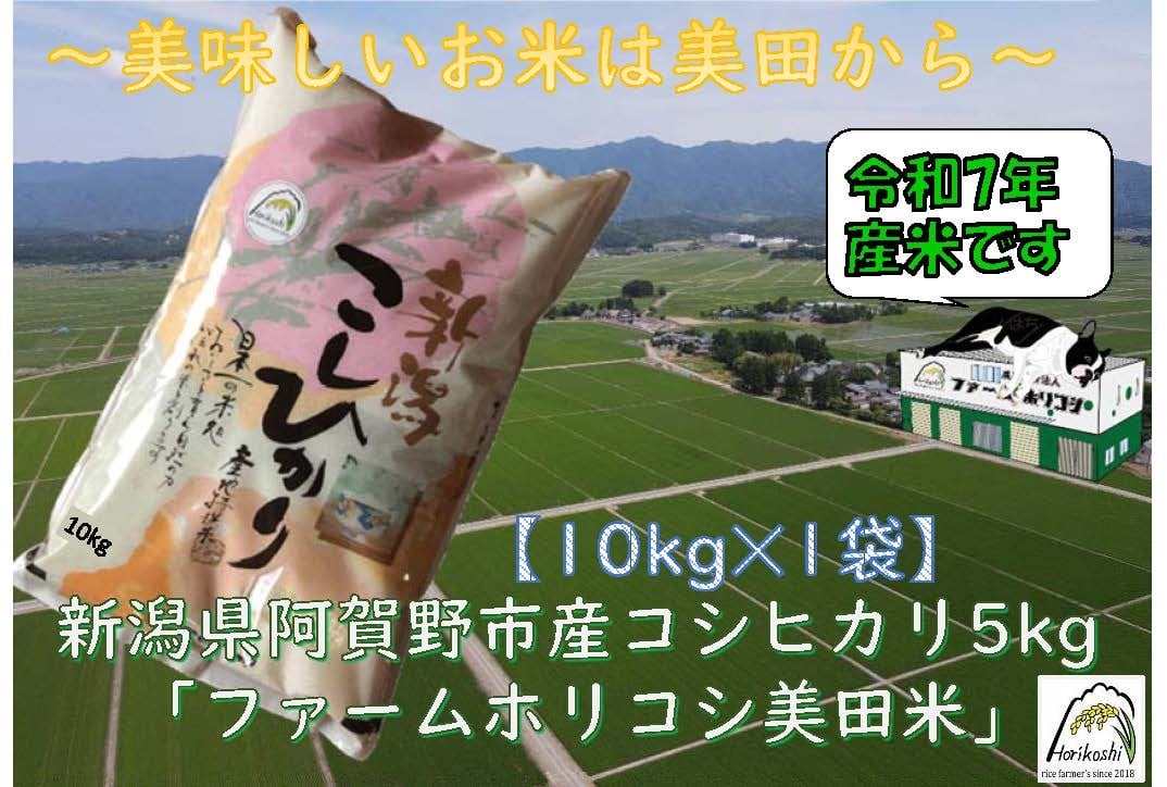
            【令和7年産新米】阿賀野市産 コシヒカリ 「ファームホリコシ美田米」 10kg（10kg×1袋）  白米 精米 3H13027
          