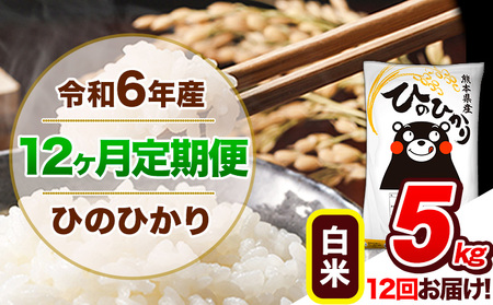 【12ヶ月定期便】令和6年産 定期便 ひのひかり白米 5kg 《申込み翌月から発送》令和6年産 熊本県産 ｜人気米 熊本県産米 お米 生活応援米