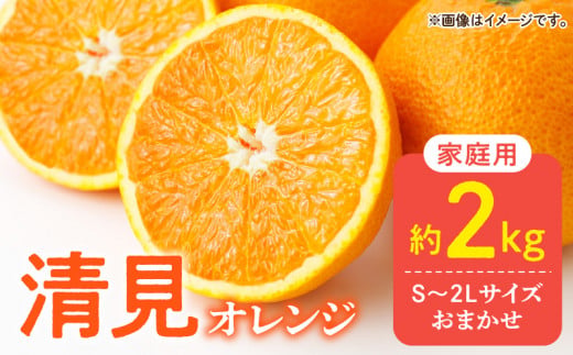 DZ6105_【2026年先行予約】ご家庭用 きよみ 清見オレンジ 和歌山 有田 S～2Lサイズ 大きさお任せ 約2kg