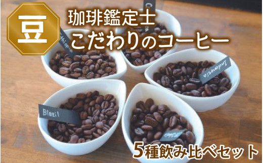 【豆のまま】【珈琲鑑定士が選ぶ】スペシャルティコーヒー豆 5種類飲み比べセット【500g コーヒー 珈琲 コーヒー豆 飲み比べ  稀少豆】 [A-043004_01]