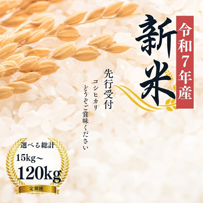 【ふるさと納税】【令和7年産新米　先行予約】大文字屋米穀店【定期便】コシヒカリ　精米 定期便　選べる配送回数　選べる容量
