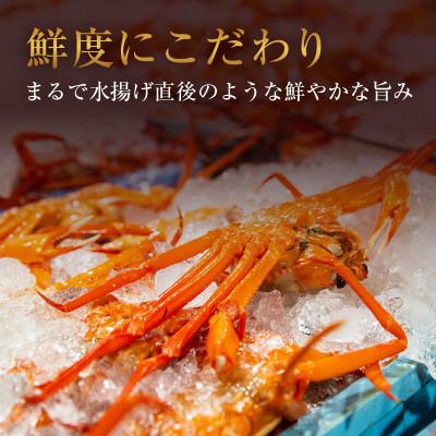 ふるさと納税 智頭町 【蟹セレブ】カット生紅ずわい蟹1.5kg |  | 02