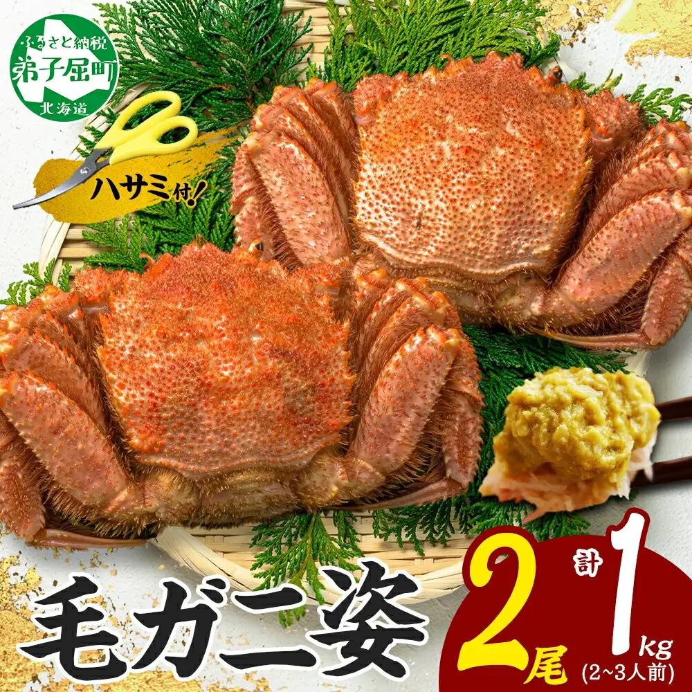 毛蟹 2尾 計1kg前後 食べ方ガイド・専用ハサミ付 カニ かに 蟹 海鮮 ボイル 送料無料 北海道 弟子屈町 3319