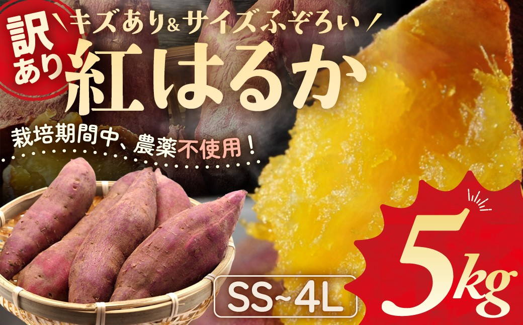 
            ≪訳あり≫ 栽培期間中農薬不使用 サツマイモ 5kg 紅はるか 無農薬 さつまいも サツマイモ ワケアリ ワケアリ わけありさつまいも詰め合わせ 芋 いも 三重県 多気町 GE-01
          