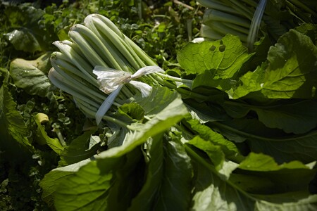 【漬物屋が作る新しい調味料】熟成菜ソルト3種セット