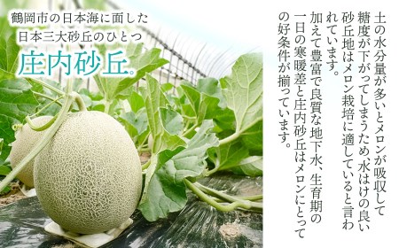 【令和8年産先行予約】 庄内砂丘青肉メロン 秀品 大玉 約5kg (3～4玉)　山形県鶴岡市産　株式会社 元青果