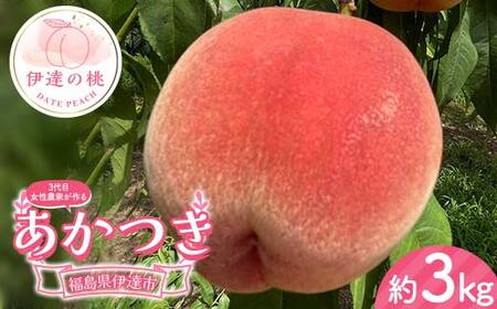 【2026年出荷分先行予約】福島県産 あかつき 約3kg (8～12玉) 小野農園 3代目の女性の農家が作る桃 伊達の桃 桃 フルーツ 果物 もも モモ momo F21C-128