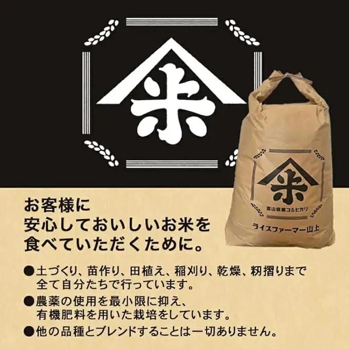【射水市】【ライスファーマー山上】【農家直送】【射水の美味しいお米】R8年産コシヒカリ10kg（5kg×2）【精米】 ※2026年10月上旬～10月下旬頃に順次発送予定 ※離島への配送不可