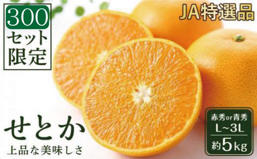 【先行受付】 JAえひめ中央 ★300セット限定★ JA特選品 せとか5kg 赤秀・青秀 いずれかL～3L