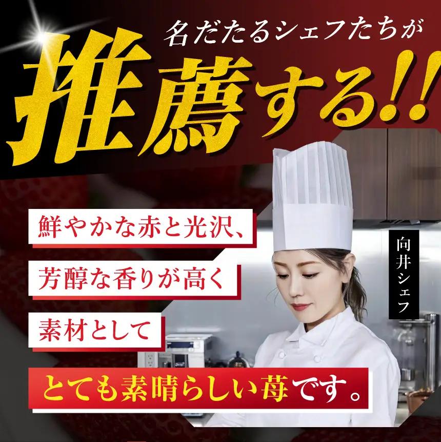 栃木県産 お試しとちあいか（サイズ不揃い） 約250g×2P 栃木県 下野市 送料無料
