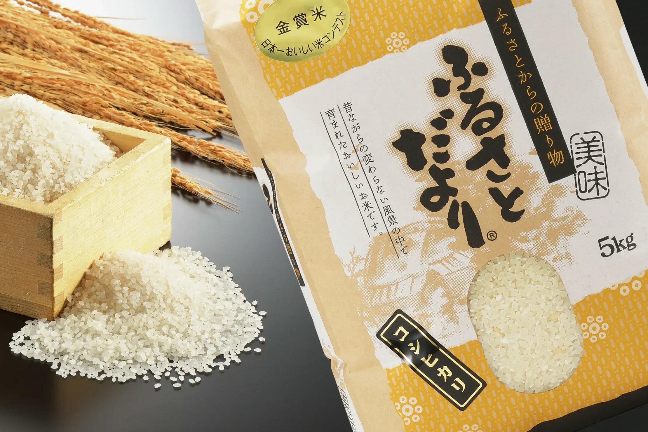 【ふるさと納税】【令和7年産】日本一おいしい米コンテスト金賞受賞 早川農興コシヒカリ 白米5kg 米 白米 お米 ごはん ご飯 白飯 ライス 新潟県 燕三条 燕市