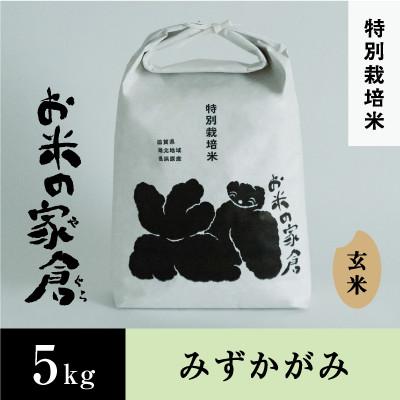 ふるさと納税 長浜市 【新米:令和7年産】滋賀県長浜市　しっかり粒感!特別栽培　みずかがみ　5K玄米