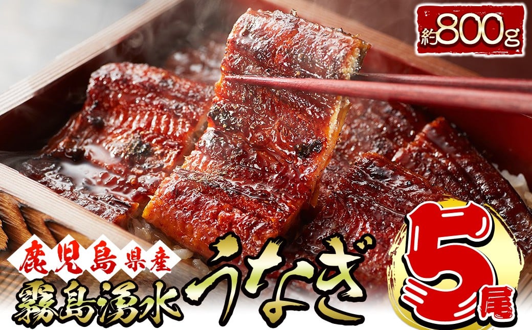 【数量限定】【お礼の品人気No1】霧島湧水鰻の蒲焼き 160g以上×5尾＜計800g以上＞ c0-103　うなぎ 鰻 ウナギ 5尾 国産 鹿児島県産 九州産 蒲焼き かばやき 冷凍 うな重 ひつまぶし タレ 山椒 ランキング 人気